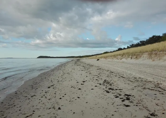 Hébergement de vacances Finnhuette Bernstein